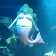 らんの画像