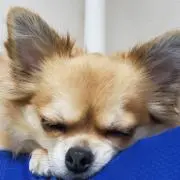 EMIの画像