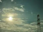 モカの画像