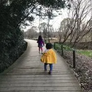 Dumboの画像