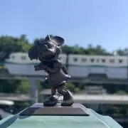 sunny dayの画像