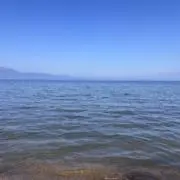 こうの画像