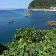 ぱえちゃんの画像