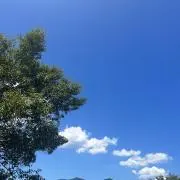 モルシェ✨の画像
