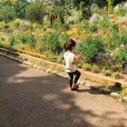 かみむらの画像