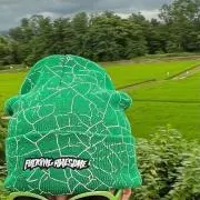 matoの画像