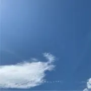まるこの画像