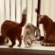 親切な対応を心掛けています。