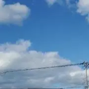 まの画像