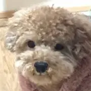 えじそんBSの画像