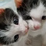 ☆プロフ必読☆ ぴ♪の画像