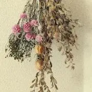 chiの画像
