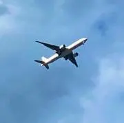 さくさくの画像