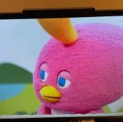 モモちゃん☆の画像