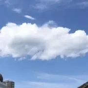 ライトの画像