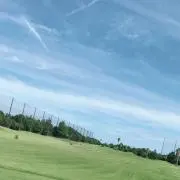 プリンの画像