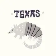 armadilloの画像
