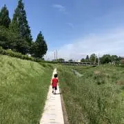 ものがたりの画像