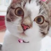 みーやん
