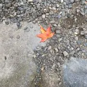 優ゆうの画像