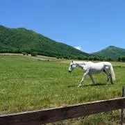 七海★自己紹介必読★の画像