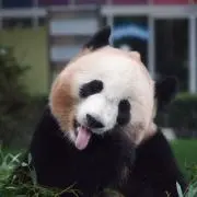 まどかくり