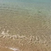 ririanの画像