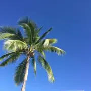 blueの画像
