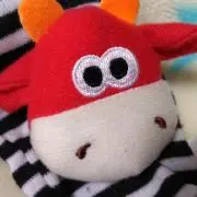 Tomの画像