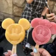 わかの画像