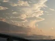 ぱるの画像