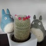 もこたみ★7/18～26まで発送お休み★の画像