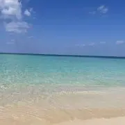 nicoの画像