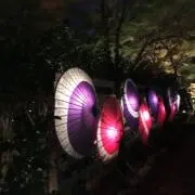 Mistyの画像
