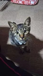 Nの画像