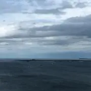 たかやんの画像