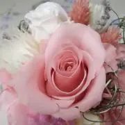 LOVE❤の画像