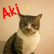 aki✨
