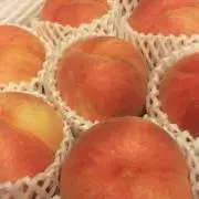 miの画像