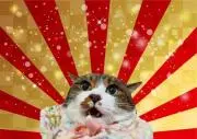 モカチャチャ(プロ必の画像