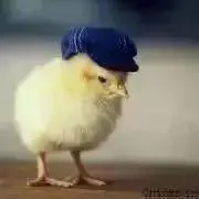 momoの画像