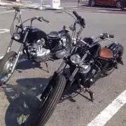 きく