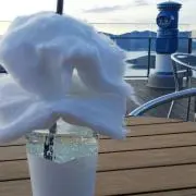 たんぽぽ(*^^*)の画像