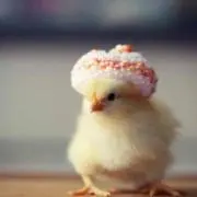 ちまるの画像