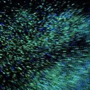 ハサウェイの画像