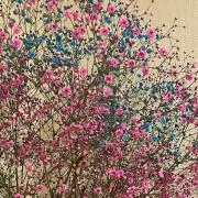 yunの画像