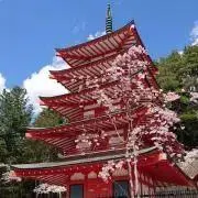 きよ