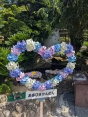 meroの画像