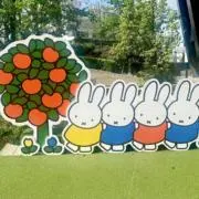 多肉のkimochiの画像