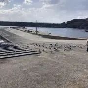 石田湧大の画像